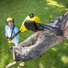 Pest Control for Lawns in Cresson, PA